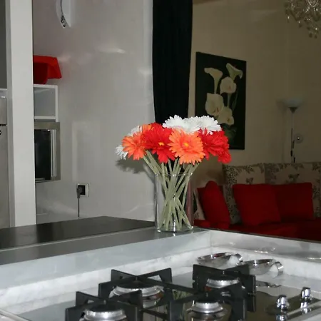 Luxury Rose Apartment *