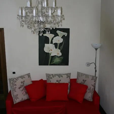 Luxury Rose Florence