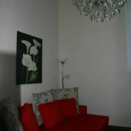 Luxury Rose