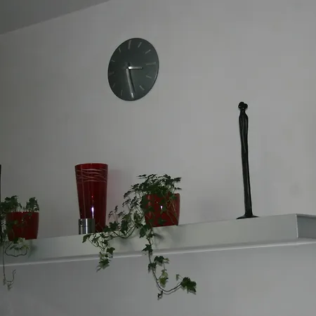 Luxury Rose Appartement